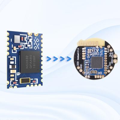 China Healthcare Home Entertainment OEM/ODM CE/FCC Bluetooth Commercial Programmable Customs nRF52832 Mesh 2.4G Module for sale