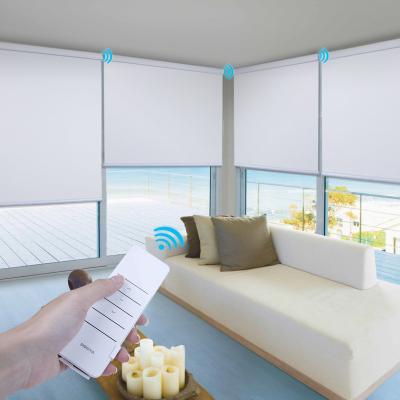 China UV Protection Pergola Roller Shade Window Shades Blackout Manual Roller Blinds for sale