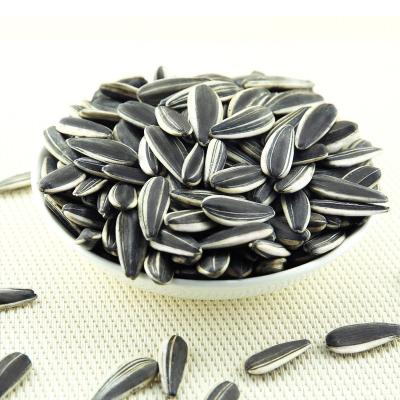 China China Fresh New Crop 361 High Quality Raw Processing Sunflower Seeds for sale