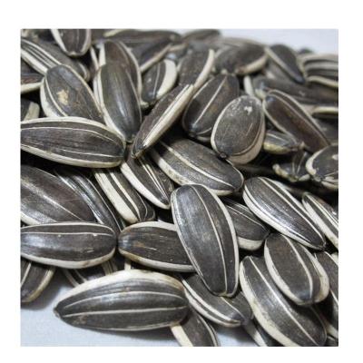 China Wholesale Fresh 363 Export High Quality Sunflower Seeds for sale