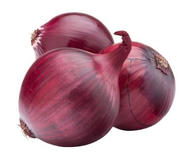 China High Quality Round Fresh Gansu Red Onion In Mesh Bags for sale