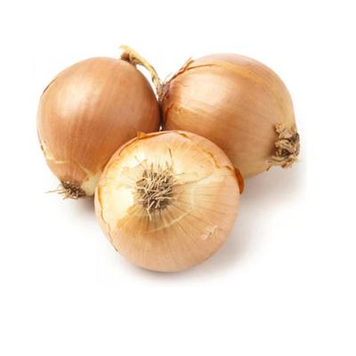 China Best Fresh Yellow Onions Fresh Importers for sale