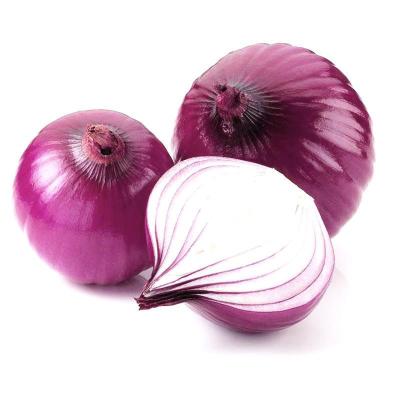 China Big size 80mm+ fresh fresh type red onion specification hot sale for sale