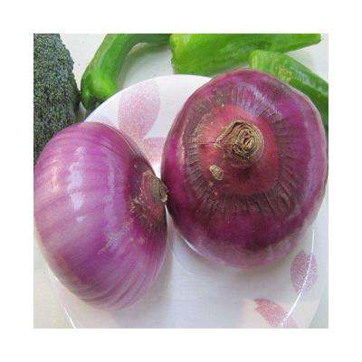 China Wholesale New Types Cheap Fresh Red Onion Price for sale