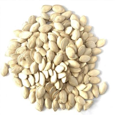 China Wholesale organic pmpkin seeds Gansu best fresh price for sale