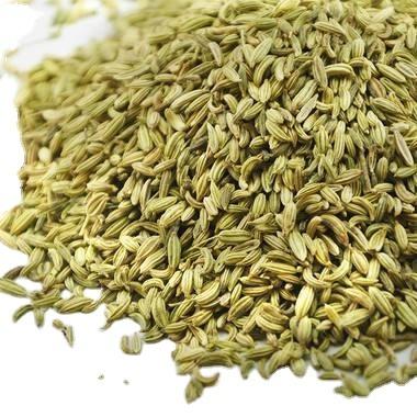 China Natural healthy hot sale fennel seed spices export green fennel seeds for sale