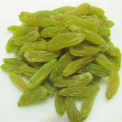 China Non-Additional Green Raisins Chinese Wholesale Gansu Large Sun Dried Raisins for sale