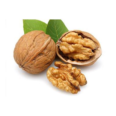 China Gansu Healthy Light Color Thin Walnuts For Sale for sale