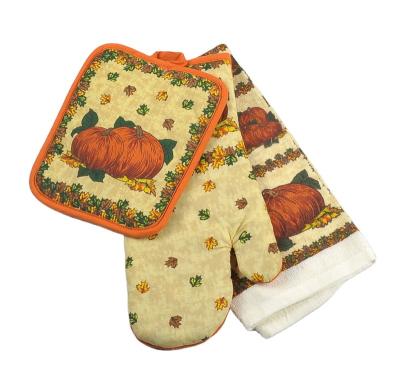 China Casual Fine Quality Small Oven Mitten Hearth With Mittens for sale