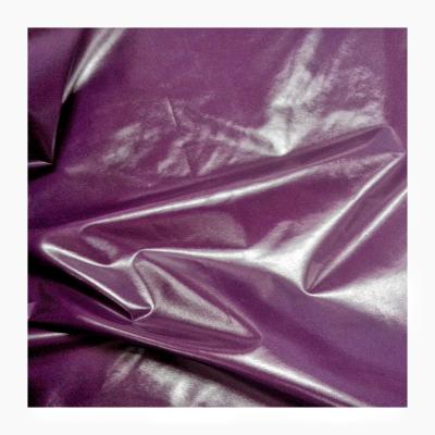 China Waterproof Shiny 100 PU Nylon Coating Down Jacket Fabric for sale