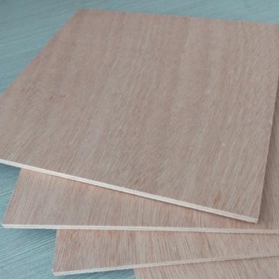 China Modern 3mm Okoume plywood for door skin for sale