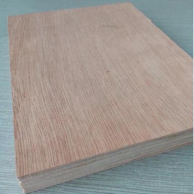 China 18mm Modern Hardwood Core Okoume Plywood for sale