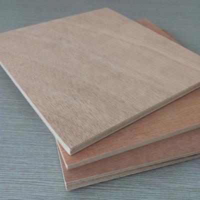 China Modern 5mm Okoume Plywood for sale