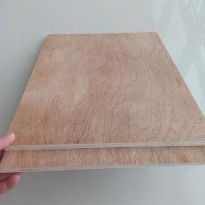 China Modern 9mm Bintangor Plywood For Furniture for sale