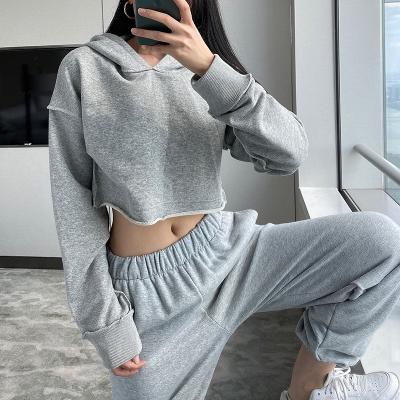 China 2020 Anti-wrinkle autumn custom winter high quality crop hoodies for women pullover oversized sweatshirts crop top hoodie for sale