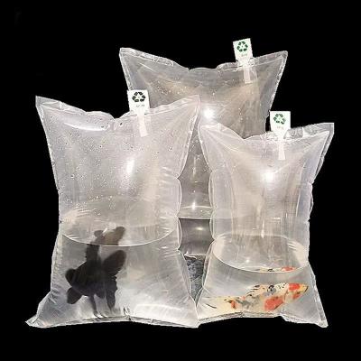 China Wholesale Shipping Inflatable HDPE Protection Foam Packaging Air Cushion Package Bag Inflatable Plastic Pouches For Cosmetic Fruit for sale