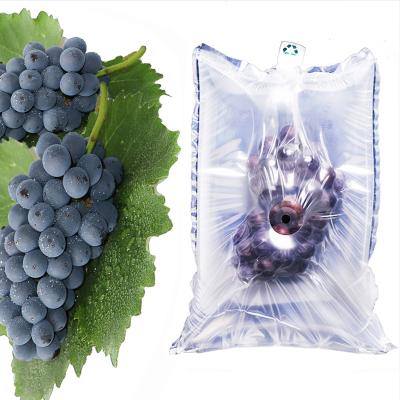 China HDPE Newly Shipping Protection Foams Protective Packaging Inflatable Fruit With Airvent Inflatable Air Buffer Plastic Bags for sale