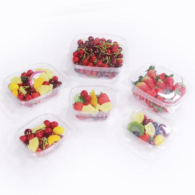 China 8oz Disposable Lid And Clamshell Blister Base Bound Plastic Disposable Salad Packaging Box for sale