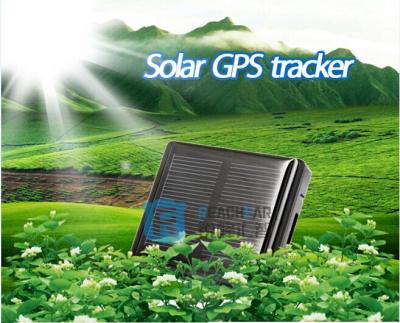 China Reachfar solar powered cow gps tracker waterproof RF-V26 for sale