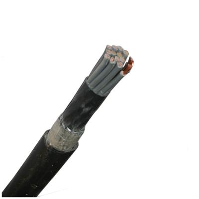 China Consistently Popular High Quality Copper Pair 450/750v Multi Pair Instrumentation Cable Shielded Instrumentation Cable for sale