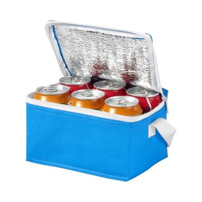 China Reusable Custom Design And Logo Print Accept Eco - Friendly 6 Can Reusable Non Woven Insulated Cooler Bag for sale