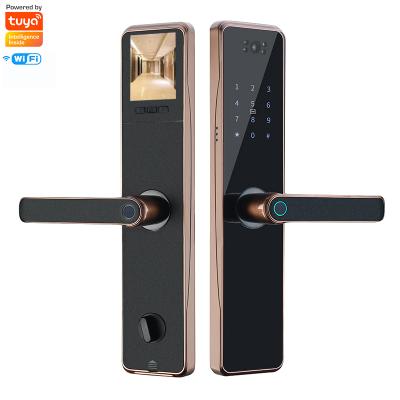 China Aluminum Alloy E-starri High Security WiFi Tuya Smart Door Lock Anti Theft With Camera Electronic Fingerprint Digital Smart Door Locks for sale