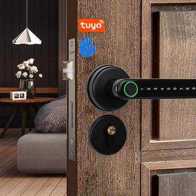 China App control multiple open app free fingerprint smart door lock smartly with app for sale