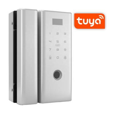 China Tuya smartlife lock fingerprint door lock zinc alloy wifi for sale