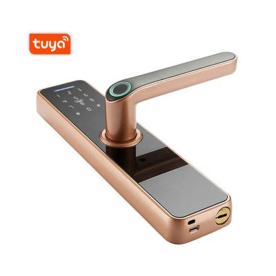 China Aluminum alloy TT aluminum alloy fingerprint scanner app lock electric smartlock code door handle lever lock outdoor lock for sale