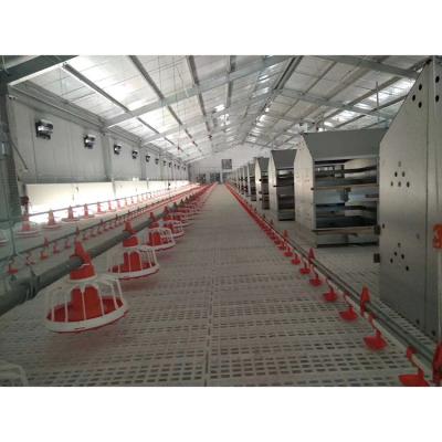 China Farms Poultry Farm Breeder Best Price Feeding Equipment For Chicken for sale