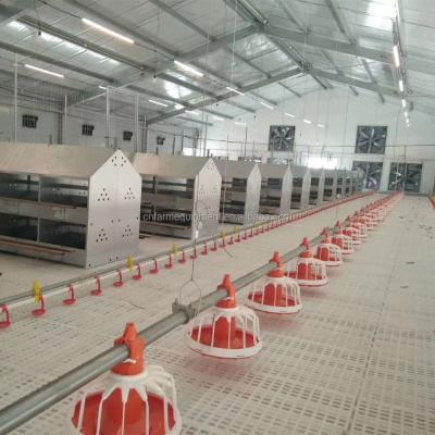 China Cultivate Breeder Professional Equipment Broiler Feeding System For Poultry Farm for sale