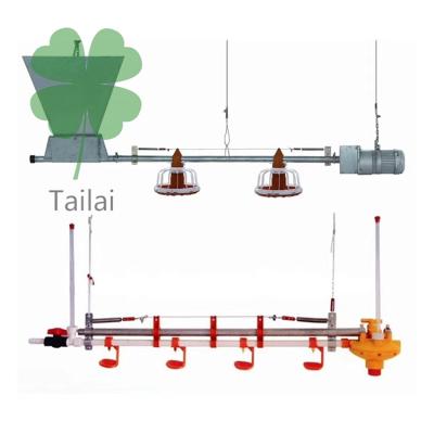 China Poultry Farm Chicken Feeding Hot Sale Automatic Drinking Feeding System Line For Poultry House for sale