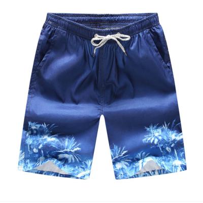 China High Quality Waterproof Microfiber Men's Beach Shorts Swim Trunk Panel Shorts Print Custom for sale