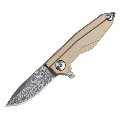 China Small Non-variable Titanium Folding Knife Outdoor Camping Hunting Foldable Damascus/D2 Blade Handle Main Chain Pocket Knife for sale