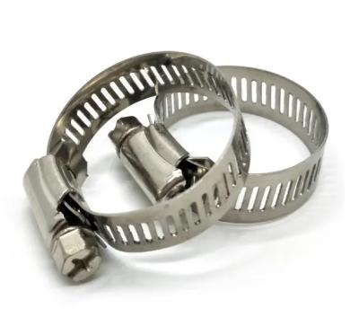 China DIN 3017 Grade Stainless Steel SS304 SS316 SS316 Ear Clamp Health Care Guaranteed Heavy Duty Single Hose Clamps For Hose for sale