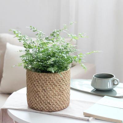 China Minimalist factory direct Art Bamboo Woven Cement Flower pot souvenir stores flower pots wholesale for sale