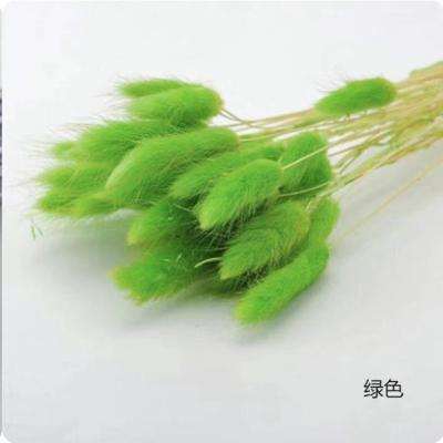 China Decoration of living room or study room dining room flowers wholesale dry bunny tails dry lagurus by amazon best seller 2021 lagurus ovatus home decoration blue pink white for sale