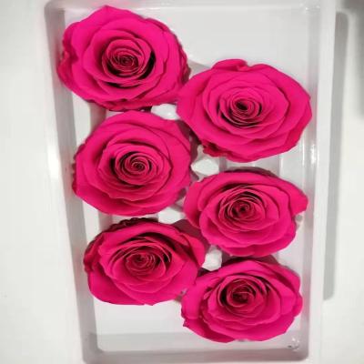 China Valentine's Day Hot Sale Factory Price 5-6cm Preserved Rose Everlasting White Rose Blue Purple Immortal Rose Head For Flower Box Layout for sale