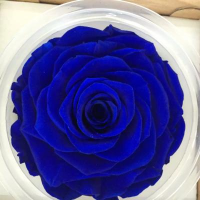 China Wedding& Home Flower Arrangements Factory Customized Valentine's Day Gift Immortalized Preserved Rose Eternal Rose Wedding Home Decoration Handwork for sale