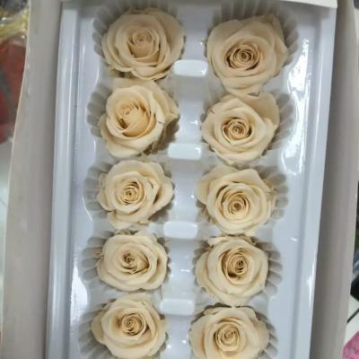 China Wedding& Home Flower Arrangements Factory Customized Chef Preserved Rose Eternal Rose Flower for sale