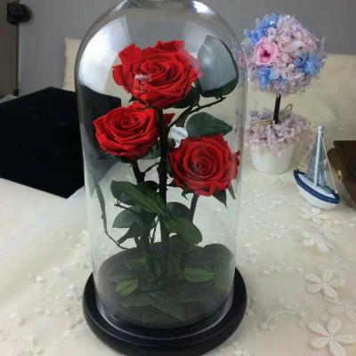 China Wedding& Beautiful Real Home Flower Arrangements Touch Triple Preserved Mounted Glass Dome Head For Valentine Gifts for sale