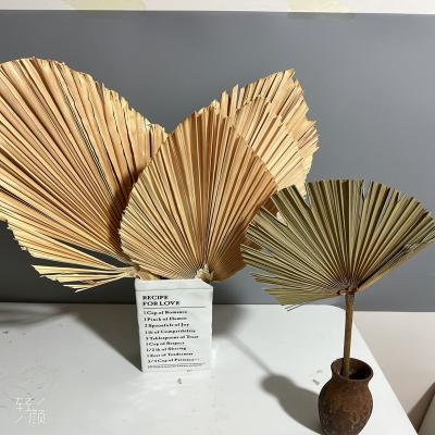 China Wholesale hot natural boho home decor wedding palm leaf centerpiece dried fan customized shape bleached and natural leaf palm leaf for sale