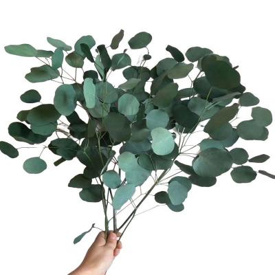 China Wedding High Quality Preserved Immortal Green Red Blue Eucalyptus Apple Leaf Eucalyptus Round Bouquet Flower Arrangements For Home Decoration for sale