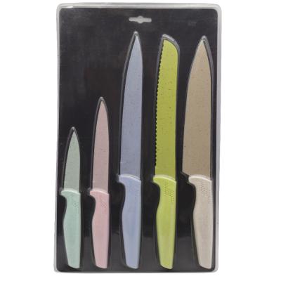 China 2021 Viable Wholesale Hot Sale High Quality Cr13 Stainless Steel Portable Knives Christmas Gift Set 5 Pcs Small Fruit Knife Set for sale