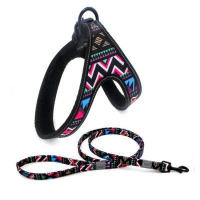 China Popular Reflective Hot Selling Bohemia Dog Harness Set Dog Leash And Harness Sets for sale