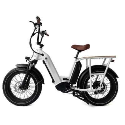 China Support Batteries Aluminum Alloy Double Fat Tire Electric Bicycle 20