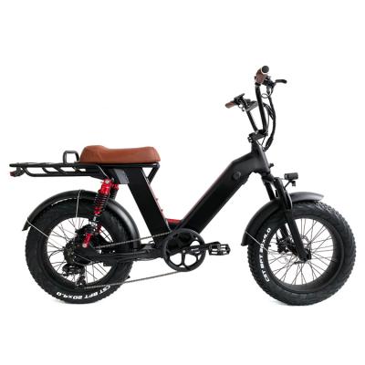 China Aluminum Alloy Double Disc Brake 20 Inch Tire 48V 14AH Detachable Fat Battery Electric Bicycle With Rear Seat for sale