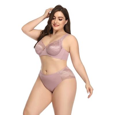 China 2023 Breathable RTS Wave Stripe Lace Bra And Panty Set Lingerie For Plus Size C Cup Women Underwear Set for sale