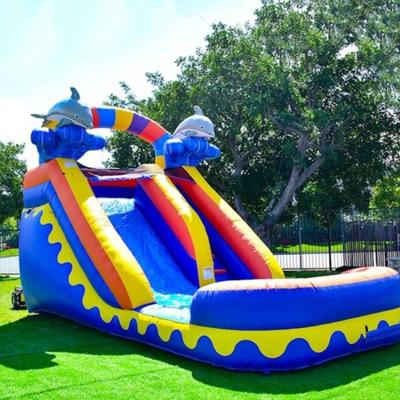 China Outdoor Entertainment Pool Doctor Water Amusement Park With Inflatable Bottlenose Dolphin Slide for sale