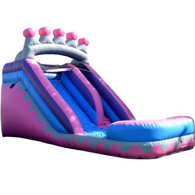 China Madame Bug Commercial 12ft Outdoor Entertainment Pink Princess Inflatable Water Slide for sale